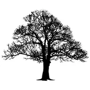 Forest City Cabinets, LLC
