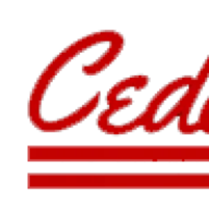 Cedar Point Tire & Auto - Logo