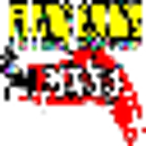 Flying Colors Painting