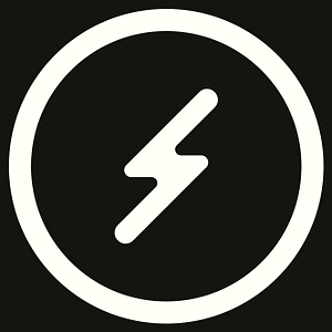 The Shine Artist LLC - Logo