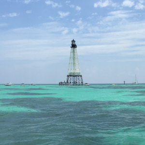 Key Lime Boat Rental - Logo