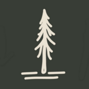 New Ridge Chiropractic & Wellness - Logo
