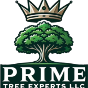 Prime Tree Experts LLC - Logo