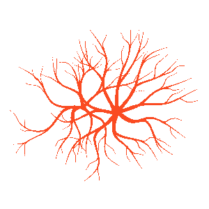 Sclerotherapy Spider Veins Treatment Los Angeles - Logo