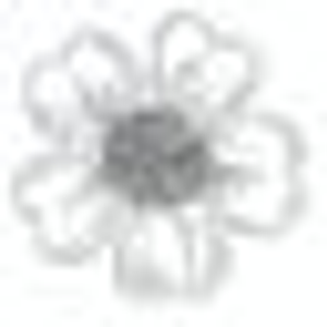 Rhonda Frachiseur, Life Coach and Certified Grief Recovery Specialist - Logo