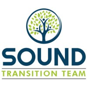 Sound Transition Team - Logo