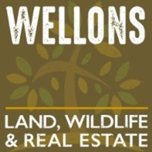 Wellons Real Estate - Logo