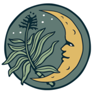 Sugar Space Wellness - Logo