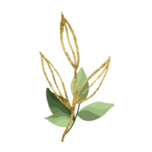 Skin Care by Casey - Logo