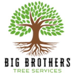 Big Brothers Tree Services