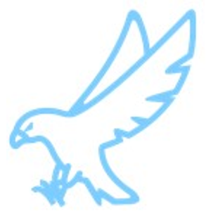 Early Bird Glass Inc. - Logo