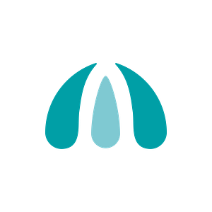 Master Maid Services - House Cleaning in Washington - Logo