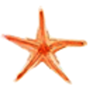Azul Key West - Logo