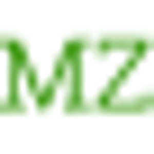 MZ Movers