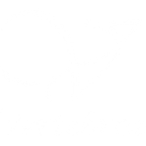 Vertebrae Chiropractic Clinic - Logo