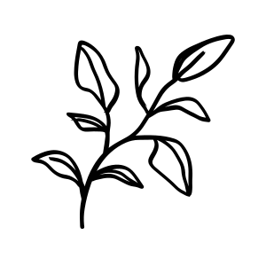 GK Salon