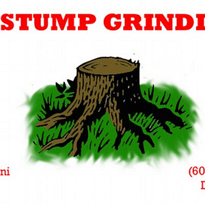 FT Stump Grinding and Tree Service