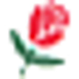 Scott's House Of Flowers - Logo
