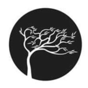 Leaning Willow Boutique