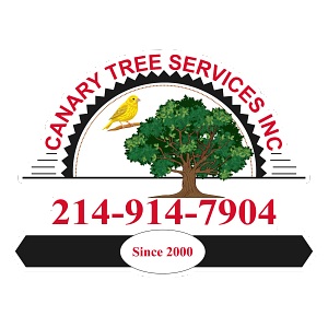 Canary Tree Services Inc. - Tree service in Dallas