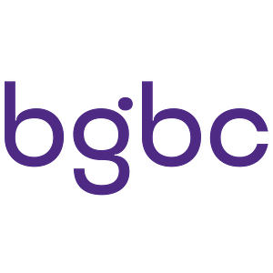 Big Guy Business Consulting - Logo