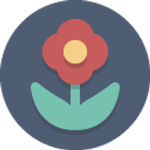San Francisco Flower Delivery by Rossi & Rovetti - Logo