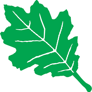 Rainy Creek Construction - Logo