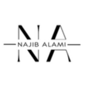 Najib Alami, Realtor- Coldwell Banker Realty DTC