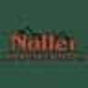 Noller Automotive Supercenter