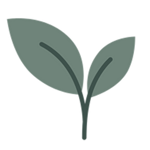 A Brand New Leaf Wellness Center - Logo