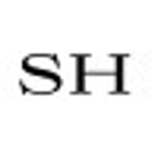 Study Hall Rooftop Lounge - Logo