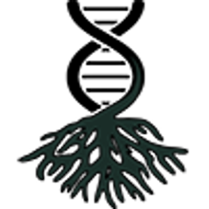 Roots Apothecary TX - Logo
