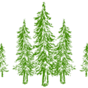 Tree Boss Tree Service - Logo