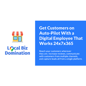 Local Biz Domination