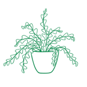 Midwest Plant Studio - Logo