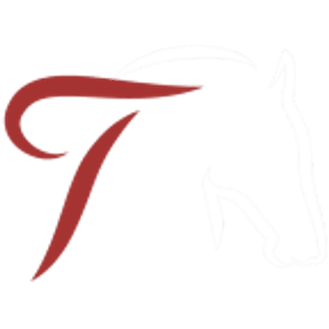 Vintage Apartments - Logo
