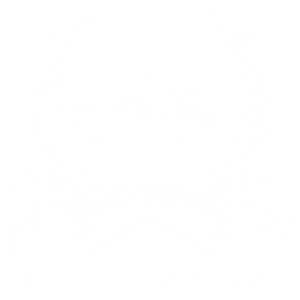 The Ugly Duckling Antiques - Logo