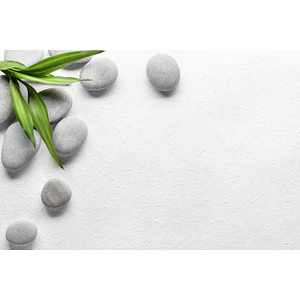Emanation Wellness and Aesthetics - Logo