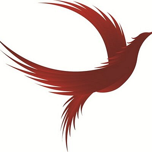 Phoenix Roofing LLC - Logo