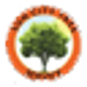 Sun City Tree Service