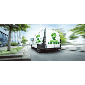 Rainbow Signs - Logo
