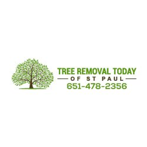 Tree Removal Today of St Paul