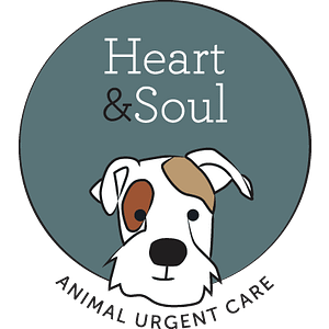 Heart and Soul Animal Urgent Care