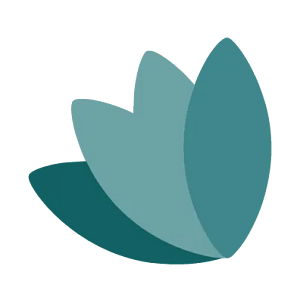 Vijapura Psychiatry - Logo