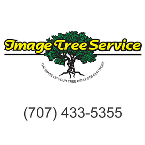 Image Tree Service