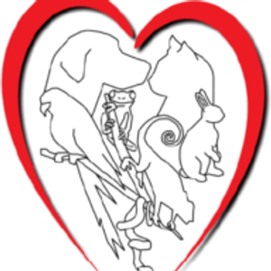 Small Animal Medicine & Surgery - Logo