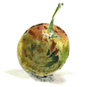 Pomarius Nursery - Logo