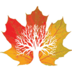 Beyond The Leaf Tree and Shrub Experts LLC - Logo