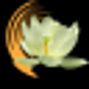 World of Meditation - Logo