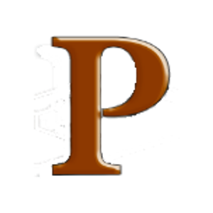 Professional Concrete Services, Inc. - Logo